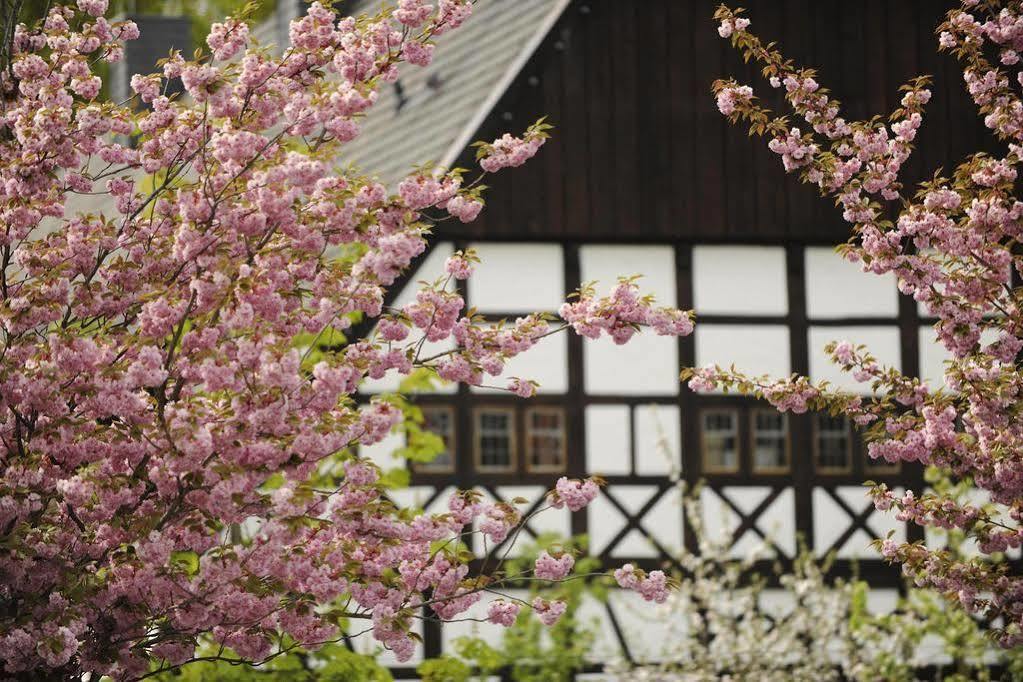 Hof Hueck Hotel Бад Засендорф Екстериор снимка